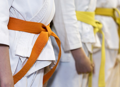 Cambridge Karate course